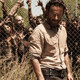 Image for article titled AMC’s The Walking Dead spinoff gets an obvious title